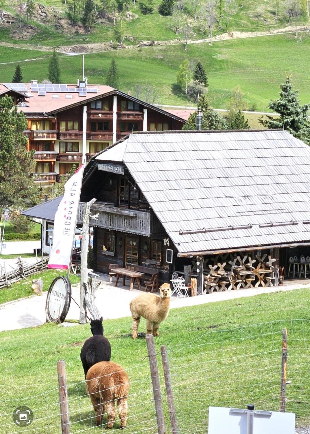 Deluxe Panorama Apartment-Maibrunn-Alm Bad Kleinkirchheim Extérieur photo
